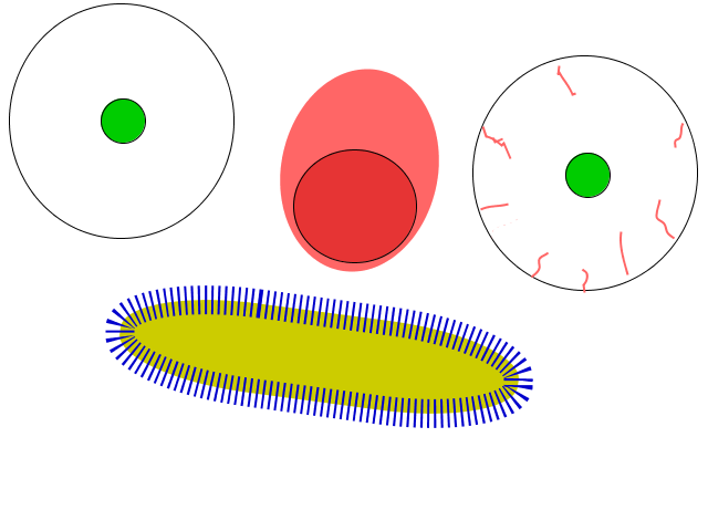 Clickable drawing: anywikitest.adraw